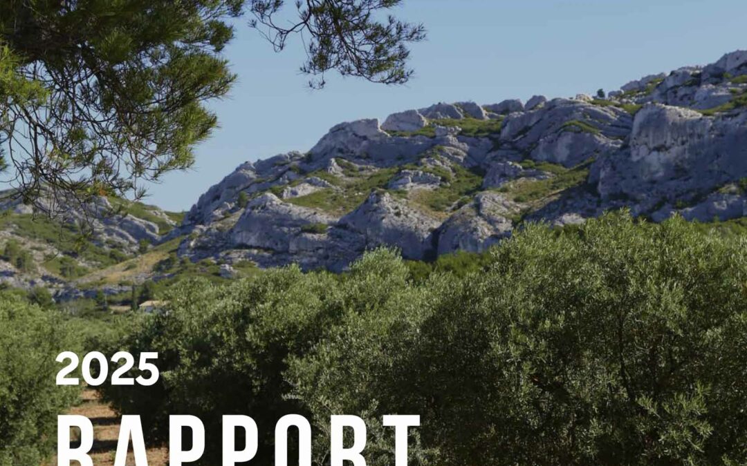 Rapport d’activité 2025