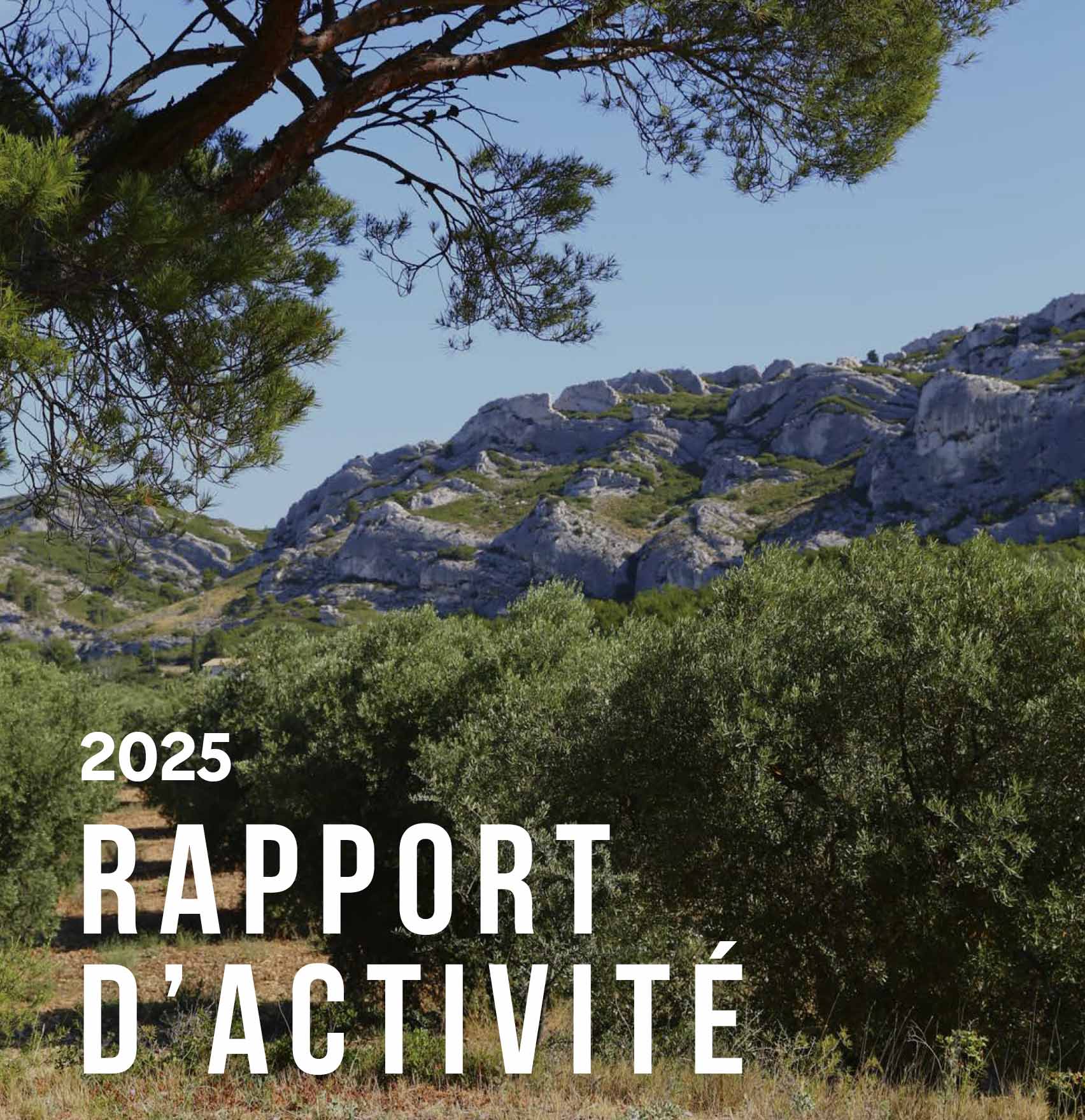 Rapport d’activité 2025
